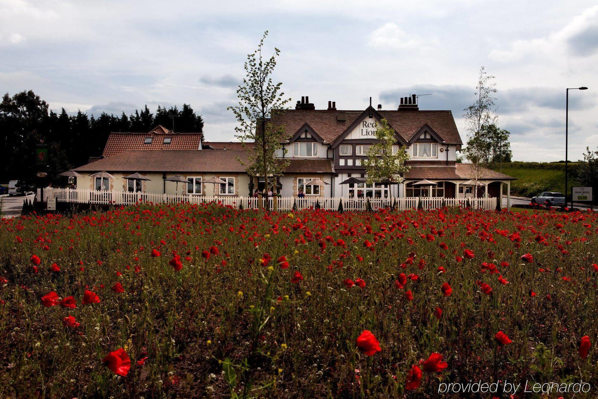 The Red Lion Inn By Chef & Brewer Collection Todwick Eksteriør bilde